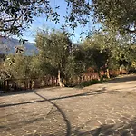 Nonna Rosa *